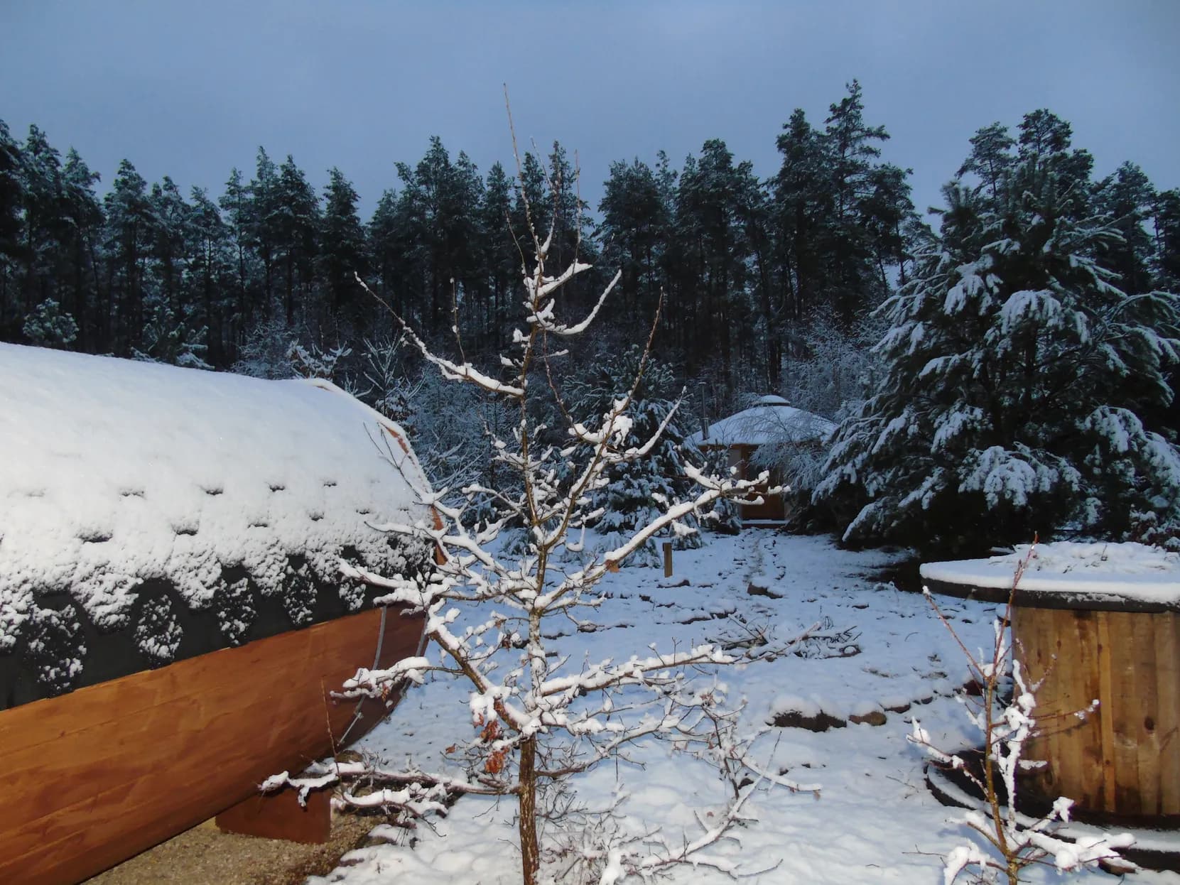 Zielona leśna ścieżka prowadząca do altany i sauny latem