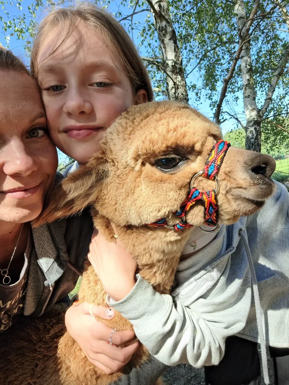 Mama z córką poznające alpakę w zagrodzie